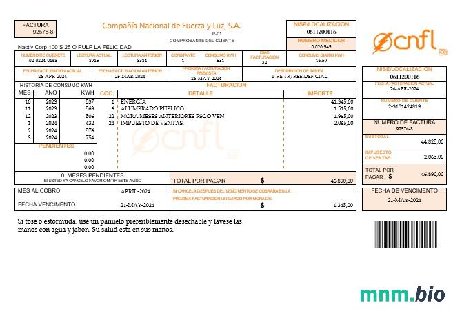 Costa Rica Compania Nacional de Fuerza y Luz, S a CNFL rachunek za usługi komunalne w formatach word i pdf